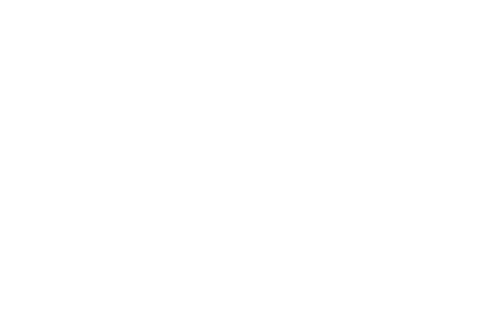 Otto per Mille — Waldensian Church